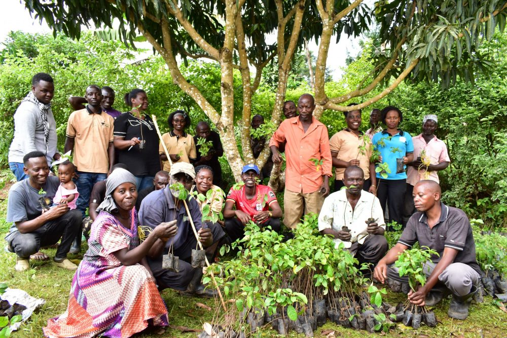 Smallholder Farmers